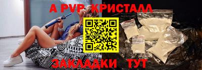спиды Гатчина