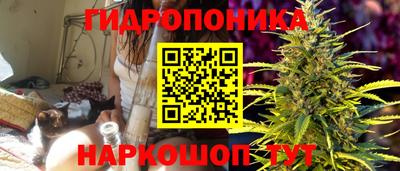 спиды Гатчина