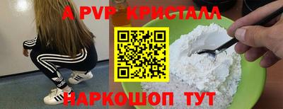 спиды Гатчина