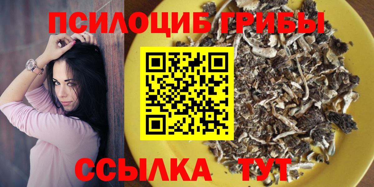 Галлюциногенные грибы GOLDEN TEACHER  Вход с VPN  Лесосибирск  Галлюциногенные грибы Psilocybine cubensis 